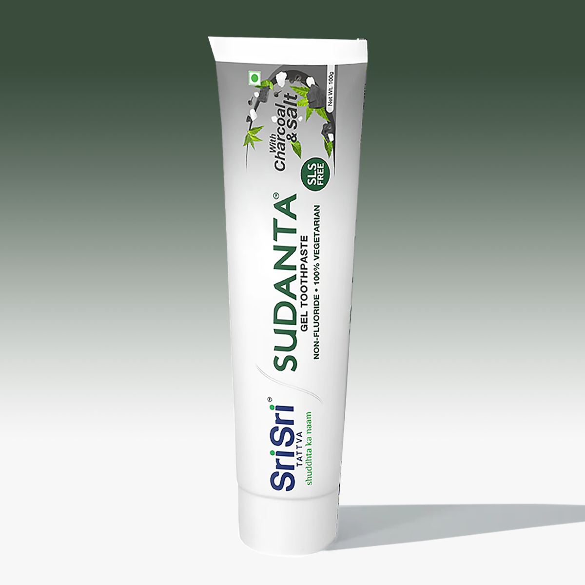 Sudanta: Purifying Charcoal & Salt Gel – Microbiome-Safe Care (100g)